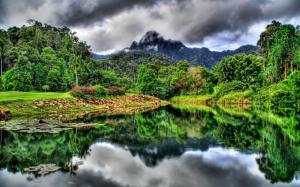 Cloudy day in the alpine jungle wallpaper thumb