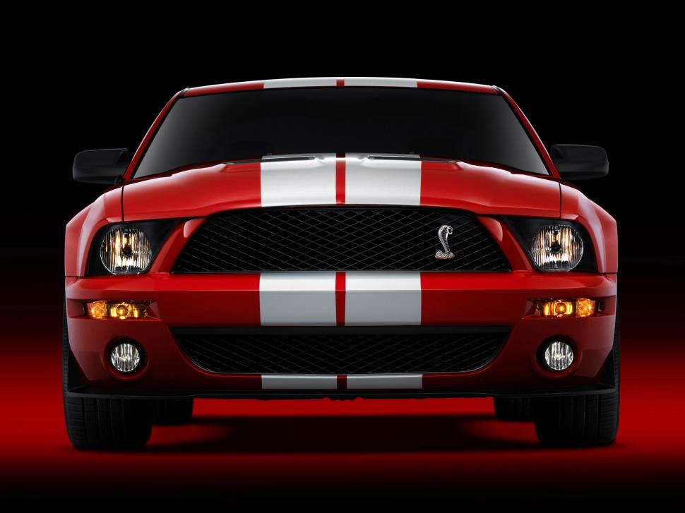 2007 Ford Shelby GT500 wallpaper,ford HD wallpaper,2007 HD wallpaper,shelby HD wallpaper,gt500 HD wallpaper,1920x1440 wallpaper