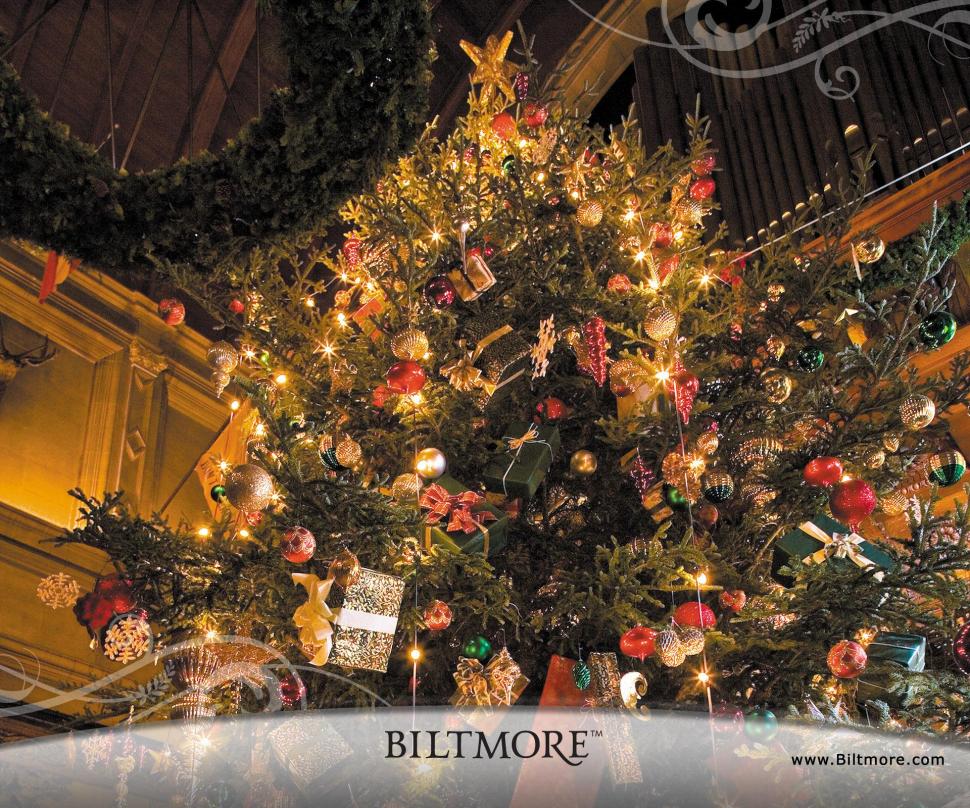 Biltmore House Christmas Tree wallpaper,houses HD wallpaper,architecture HD wallpaper,christmas HD wallpaper,biltmore HD wallpaper,animals HD wallpaper,1920x1600 wallpaper