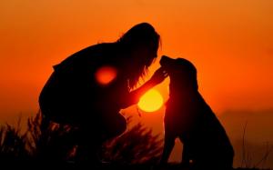 Sunset Love Dogs Master Dusk High Resolution Images wallpaper thumb
