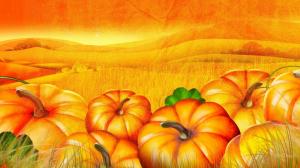 Pumpkin Patch Halloween Autumn Desktop Photo wallpaper thumb