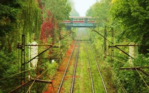 Railroad Rails Train Overgrowth HD wallpaper thumb