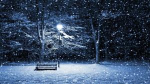 Snowing On Park Bench wallpaper thumb
