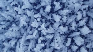 Frost Ice Macro Winter HD wallpaper thumb