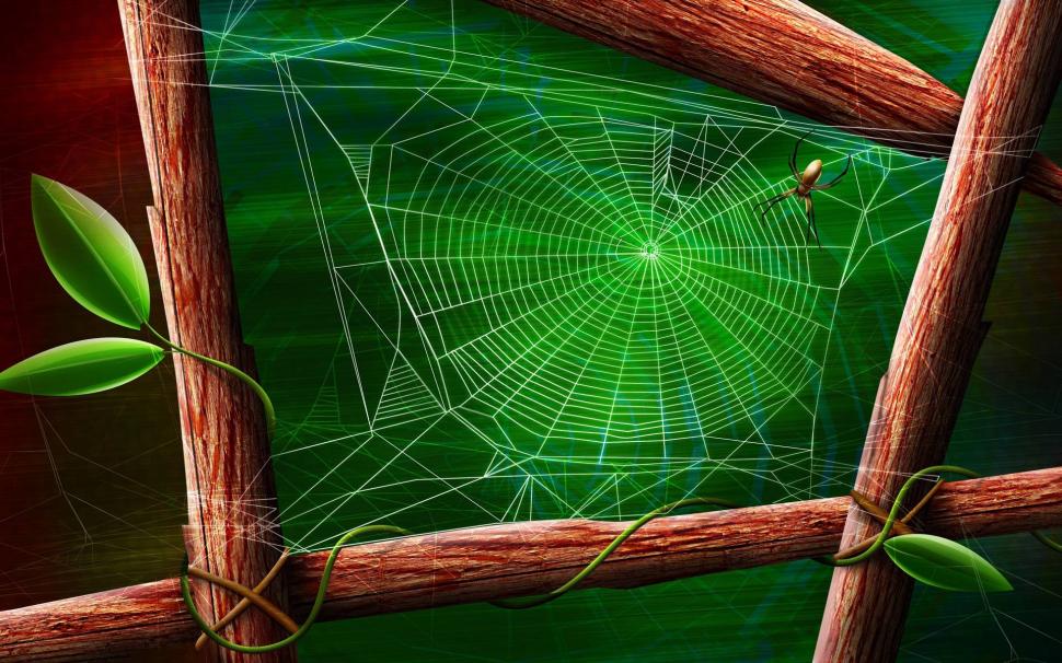 Drawing of Spider on His Web wallpaper,Insects HD wallpaper,1920x1200 wallpaper