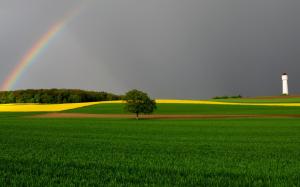 Green Fields and Rainbow wallpaper thumb