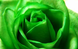 Green Swirl wallpaper thumb