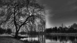Photography, Black, Trees, River, Sky, Ground, Nature wallpaper thumb