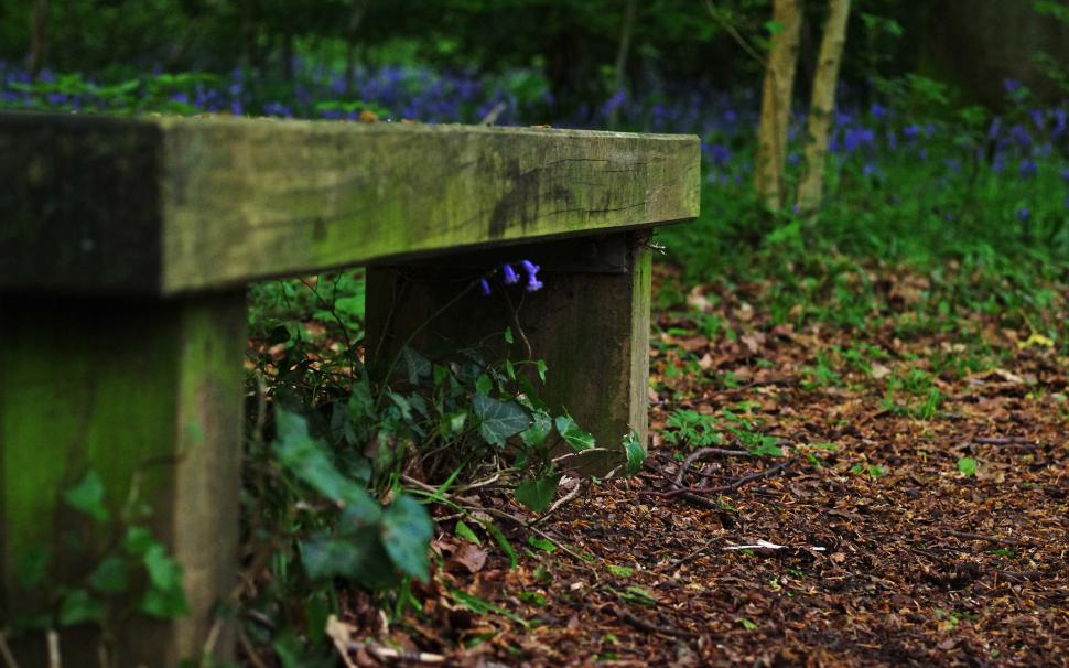 Bench, Nature, Photography wallpaper,bench HD wallpaper,nature HD wallpaper,1920x1200 wallpaper