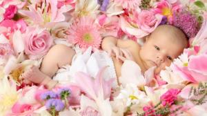 Baby With Flower wallpaper thumb
