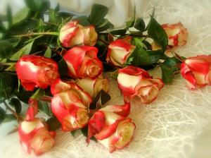 Bouquet roses, white red petals wallpaper thumb