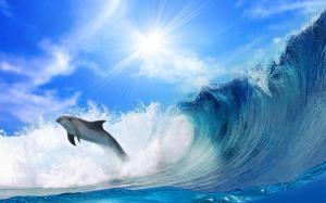 Chase dolphins and sea waves wallpaper thumb