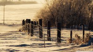 Wire Fence On Wintry Field wallpaper thumb