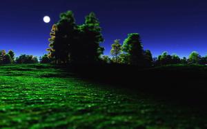 Night, Moon, Trees, Grass, Nature wallpaper thumb