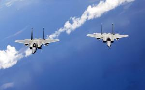 F 15 Eagles from the Air National Guard wallpaper thumb