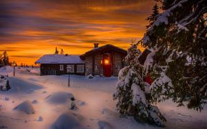 Winter, snow, cold, night, house, lights, trees wallpaper thumb