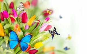 Tulip flowers and butterfly wallpaper thumb