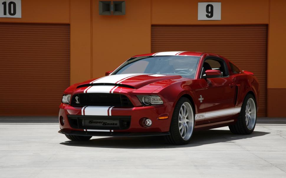 2014 Shelby GT500 Super SnakeRelated Car Wallpapers wallpaper,super HD wallpaper,shelby HD wallpaper,gt500 HD wallpaper,2014 HD wallpaper,snake HD wallpaper,2560x1600 wallpaper