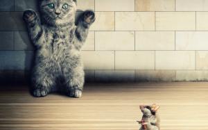 Wanted Little Kitty wallpaper thumb