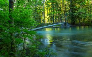 River, forest, bridge, summer, nature scenery wallpaper thumb