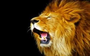 Creative lights design: Lion wallpaper thumb