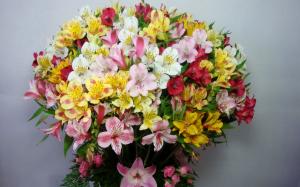 Colorful alstroemeria, bouquet, flowers wallpaper thumb