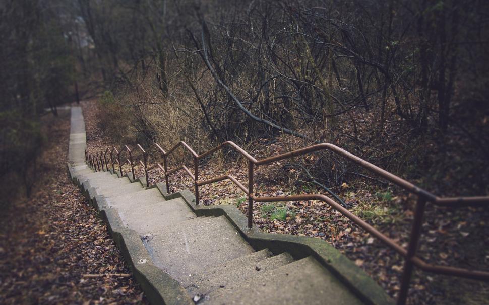 Stairs Path Trail HD wallpaper,nature HD wallpaper,path HD wallpaper,trail HD wallpaper,stairs HD wallpaper,1920x1200 wallpaper