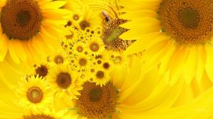 Sunflowers Bees wallpaper thumb