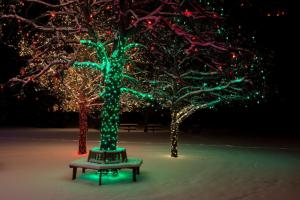 tree, lights, night, ornament, christmas wallpaper thumb