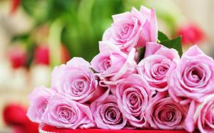 Close-Up Roses Pink wallpaper thumb
