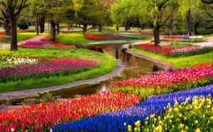 Garden, Flowers, Tulips, Field, Park, Colorful, Spring, Beautiful, Trees, River wallpaper thumb