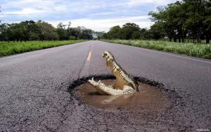 Crocodile in a road puddl wallpaper thumb