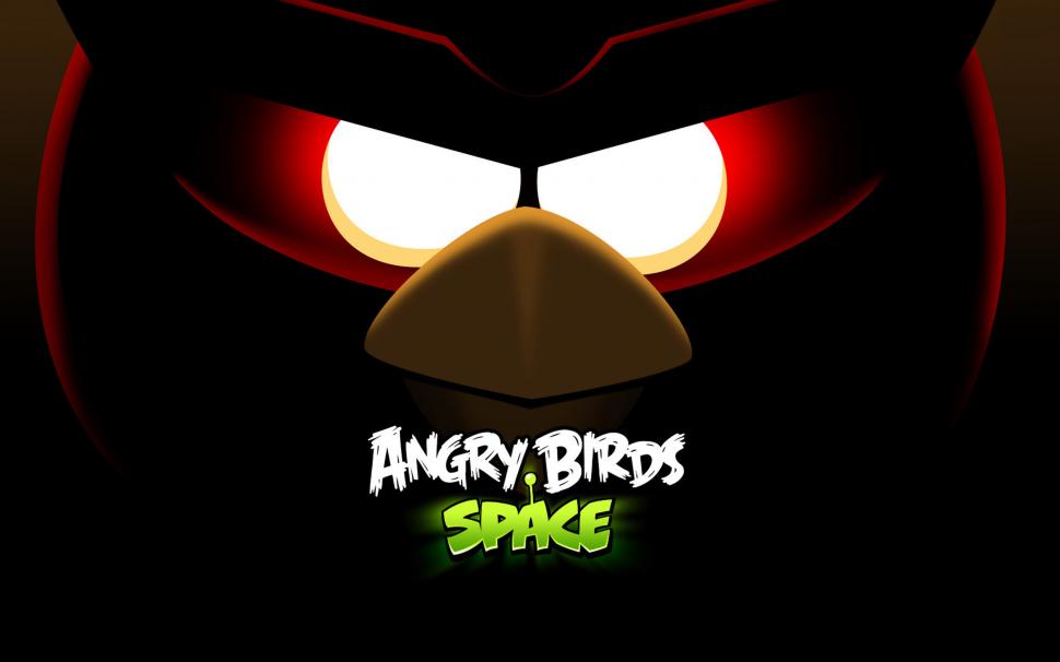Angry Birds Space wallpaper,space HD wallpaper,birds HD wallpaper,angry HD wallpaper,2560x1600 wallpaper