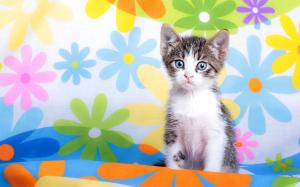 Floral kitty wallpaper thumb