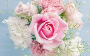 Pink rose, beautiful flowers wallpaper thumb