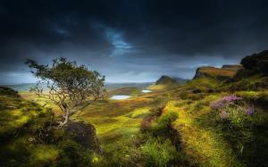 Scotland, highland region, summer, hills, valley, grass, flowers wallpaper thumb
