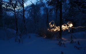 Snow Winter Trees Forest Light Painting HD wallpaper thumb