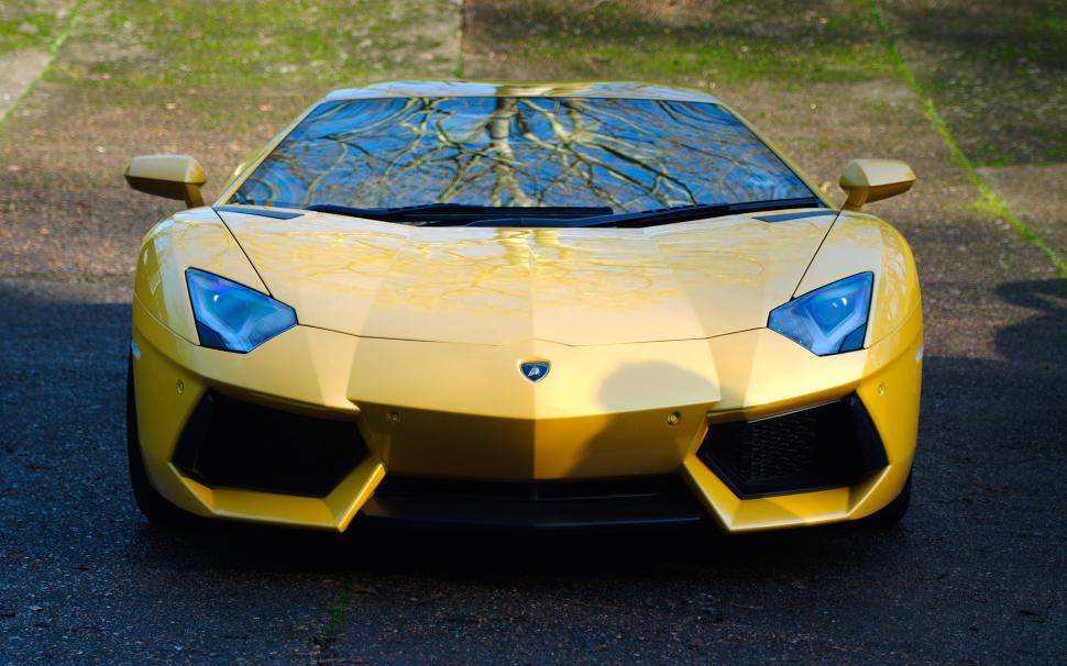 Lamborghini, aventador, lp700-4, yellow, car, front view wallpaper,lamborghini HD wallpaper,aventador HD wallpaper,lp700-4 HD wallpaper,yellow HD wallpaper,front view HD wallpaper,4903x3064 wallpaper