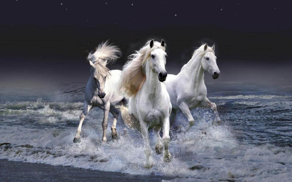 Mystic Horses wallpaper,horses HD wallpaper,mystic HD wallpaper,animals & birds HD wallpaper,1920x1200 wallpaper