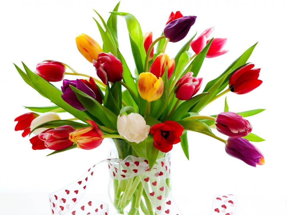 Romantic gifts, tulips wallpaper,Romantic HD wallpaper,Gift HD wallpaper,Tulip HD wallpaper,2560x1920 wallpaper