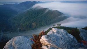 Landscape Forest Mist Fog Rock Stone HD wallpaper thumb