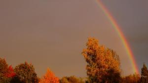Rainbow Evening wallpaper thumb