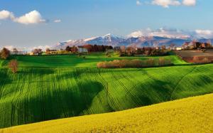 Italy nature scenery, fields, spring, rapeseed, sky wallpaper thumb