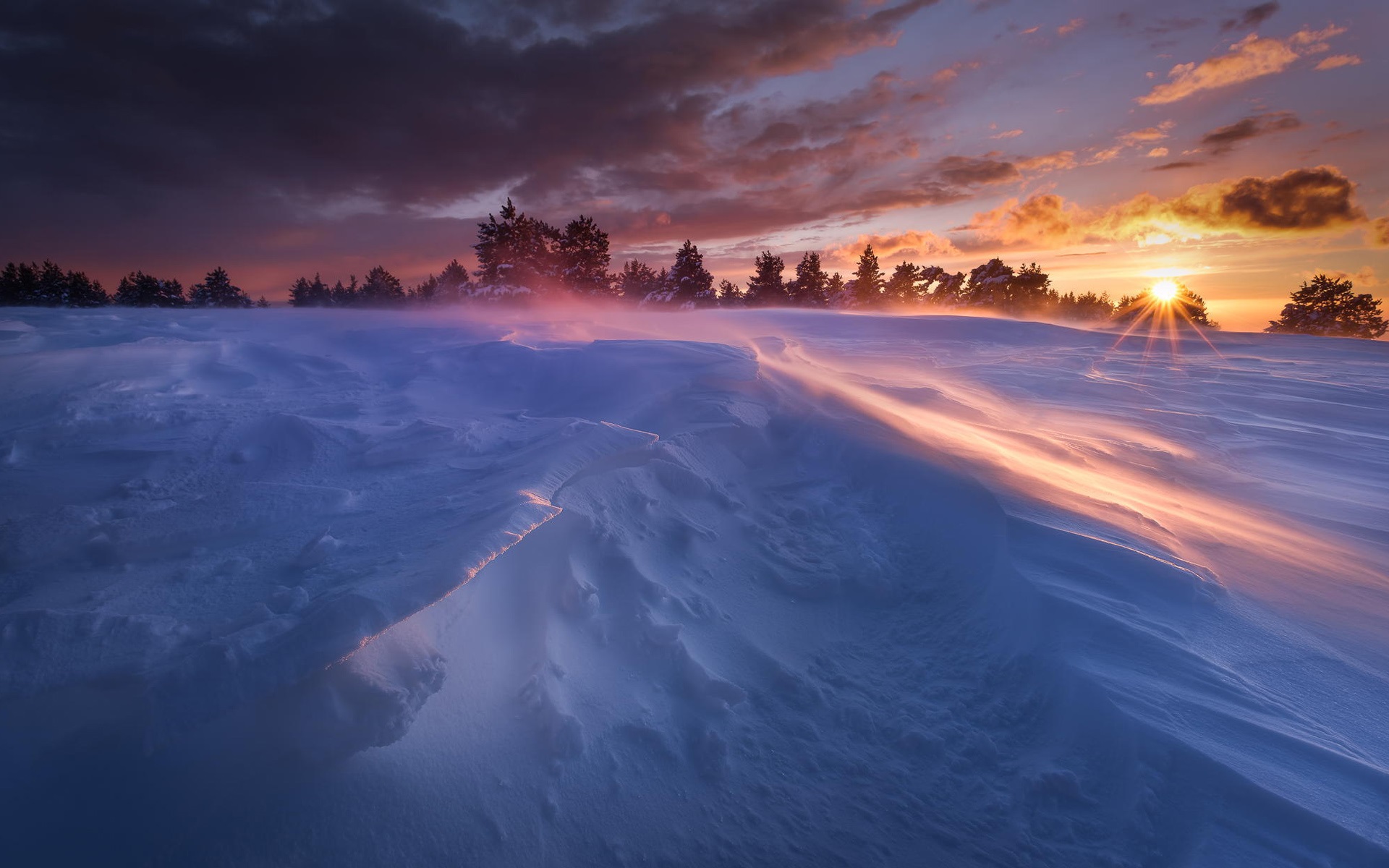 冬季太阳白雪和树木摄影图高清摄影大图-千库网