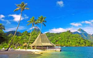 Tropical scenery, coast, palm trees, huts, bungalows, mountains, blue sky wallpaper thumb