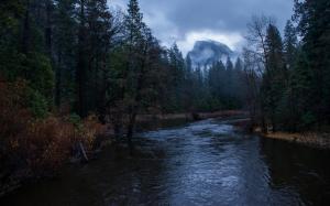 River Trees Yosemite Forest HD wallpaper thumb