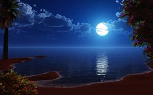 Moon reflecting in the calm oceans wallpaper thumb