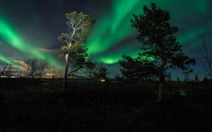 Aurora Borealis Northern Lights Trees Night Green HD wallpaper thumb