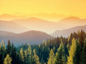 Switzerland, Nature, Landscape, Trees, Forest, Mountains, Mist, Sunrise, Photography wallpaper thumb
