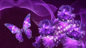 Purple Iris Beauty wallpaper thumb